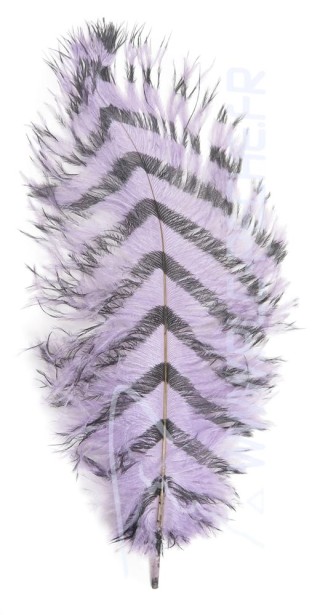 Lavender barred