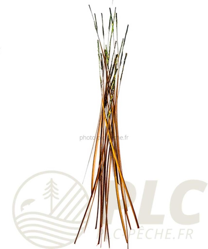 Quill CleanFly DEVAUX | PLC-PECHE.FR