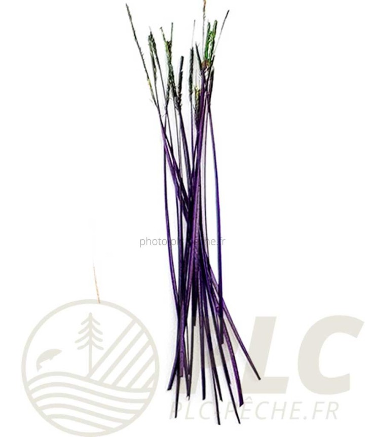 Quill CleanFly DEVAUX | PLC-PECHE.FR