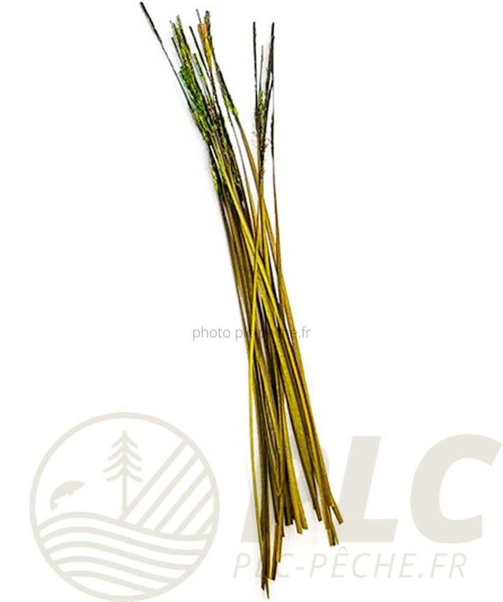 Quill CleanFly DEVAUX | PLC-PECHE.FR