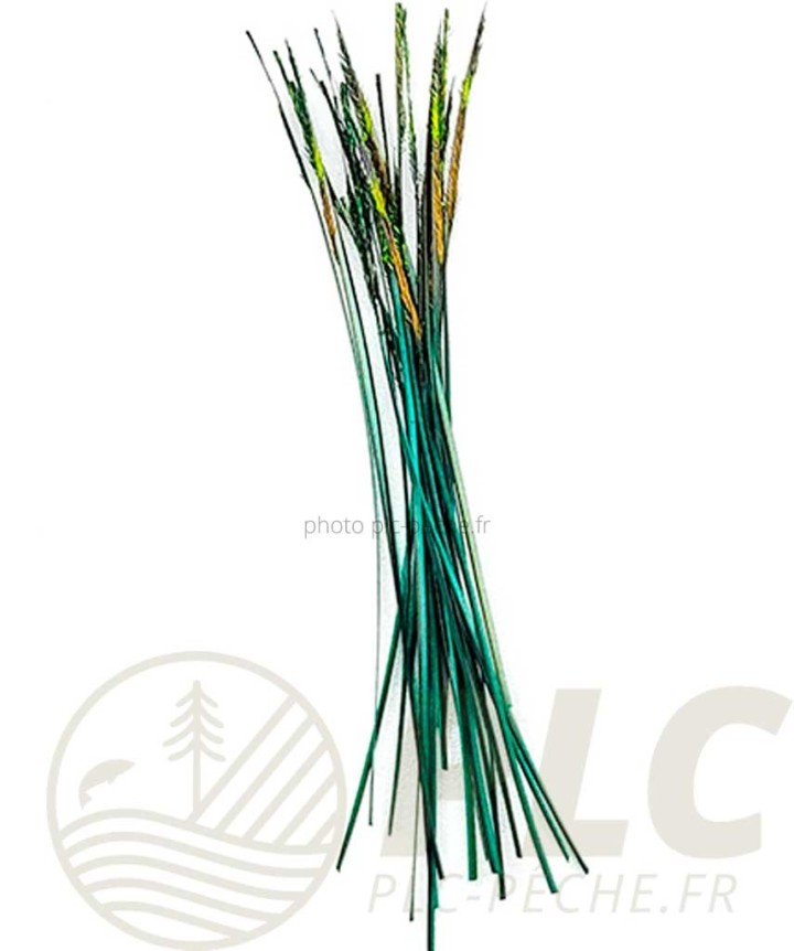 Quill CleanFly DEVAUX | PLC-PECHE.FR