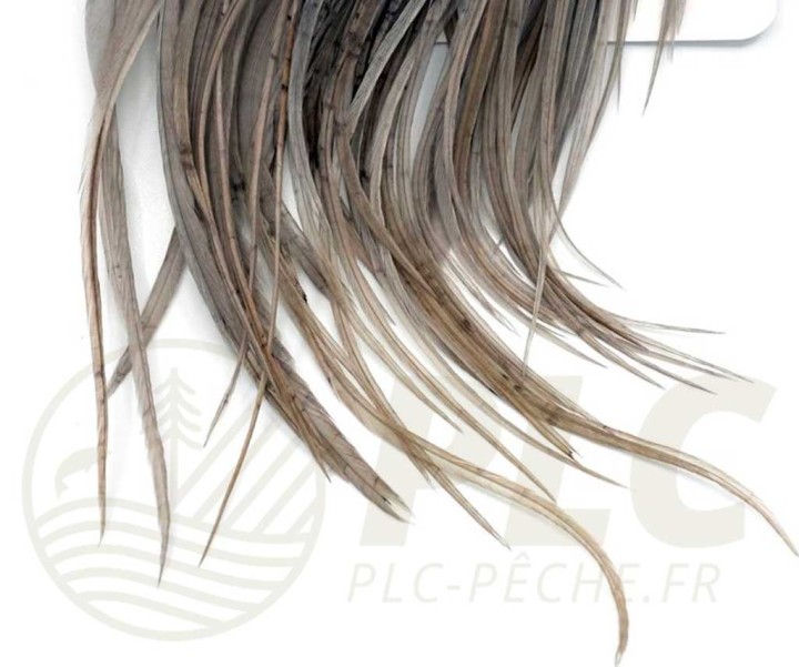 Half-Saddle WHITING Farms Silver | PLC-PECHE.FR