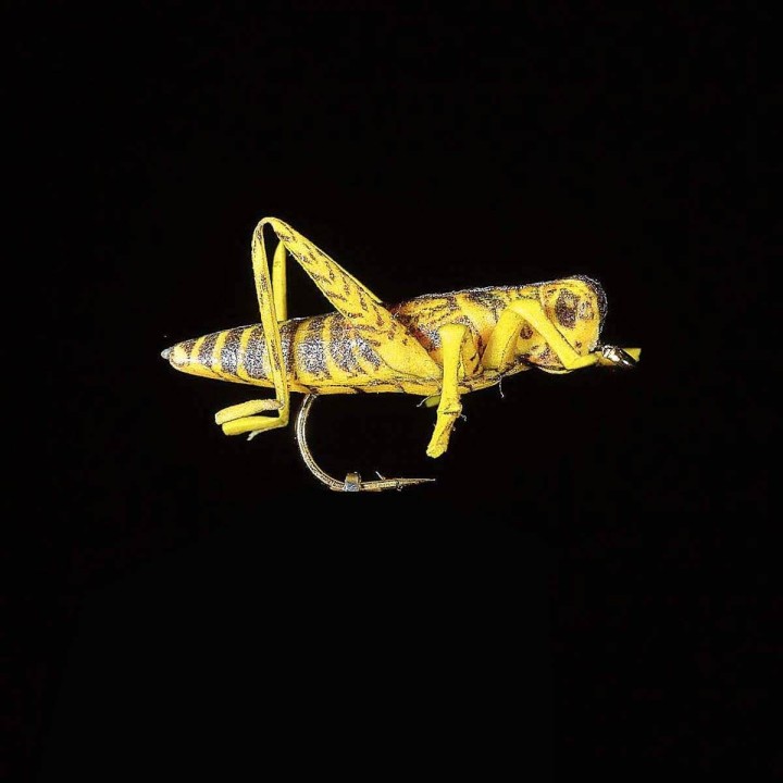 Mouche Sauterelle 22 JMC  | PLC-PECHE.FR