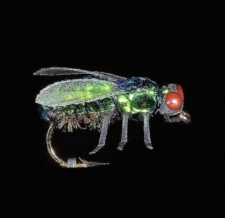Mouche noire JMC  | PLC-PECHE.FR