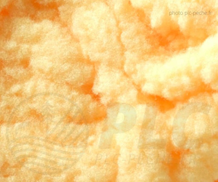 Eggstasy 12mm Textreme | PLC-PECHE.FR