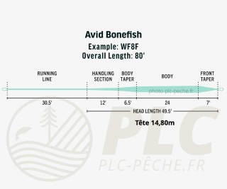 Soie RIO AVID Bonefish | PLC FLY SHOP