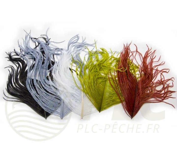 Plume Herl Autruche VENIARD | PLC-PECHE.FR