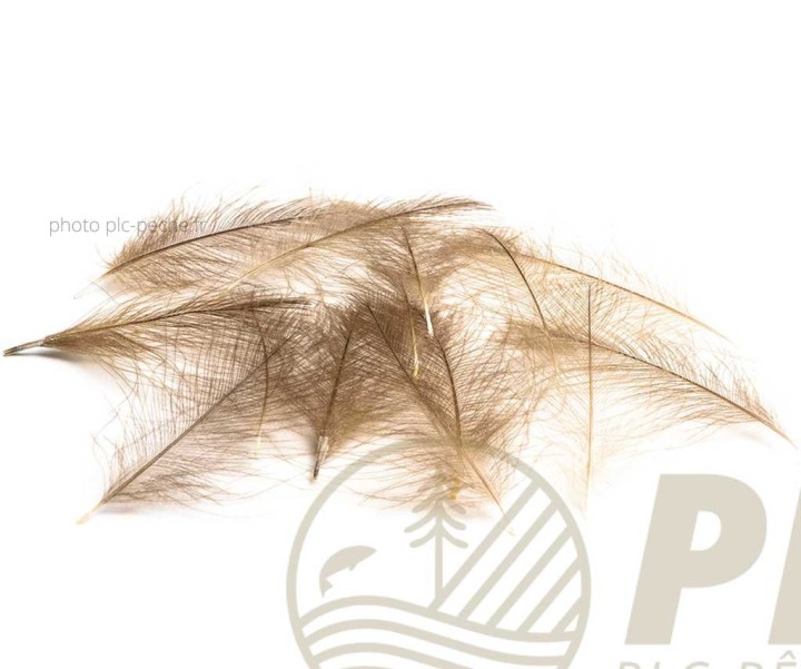 Cul de Canard DEVAUX 1gr | PLC-PECHE.FR