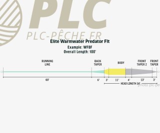 Soie RIO Elite Warmwater Predator WF Float | PLC-PECHE.FR