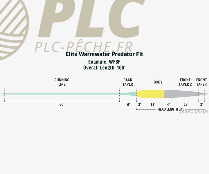 Soie RIO Elite Warmwater Predator WF Float | PLC-PECHE.FR