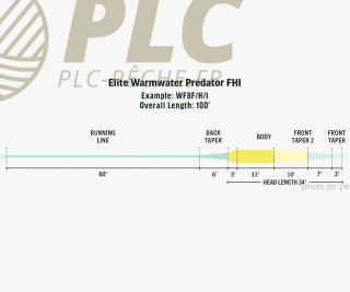 Soie RIO Elite Warmwater Predator WF FHI | PLC-PECHE.FR