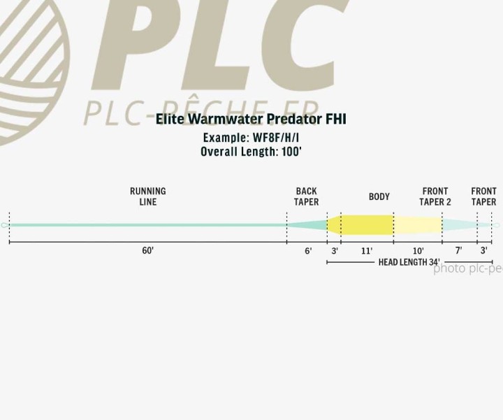 Soie RIO Elite Warmwater Predator WF FHI | PLC-PECHE.FR