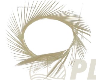 SEMPERFLI Natural Range Goose Biots | PLC-PECHE.FR