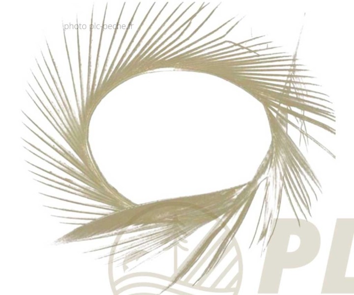SEMPERFLI Natural Range Goose Biots | PLC-PECHE.FR