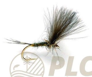Mouche FULLING MILL CdC Olive Dun S14 | PLC-PECHE.FR