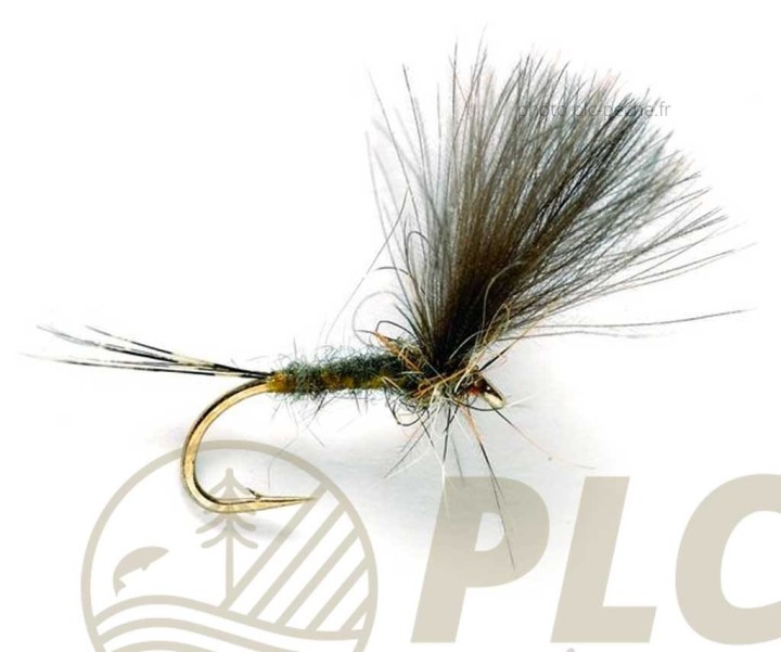 Mouche FULLING MILL CdC Olive Dun S14 | PLC-PECHE.FR