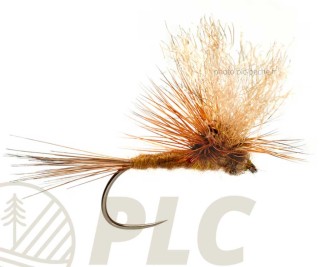 Mouche FULLING Buckeys P/T Meat BL S12 | PLC-PECHE.FR