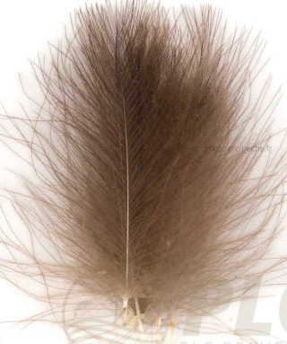 Cul de Canard FLYSCENE Wild Natural Petites Plumes | PLC-PECHE.FR