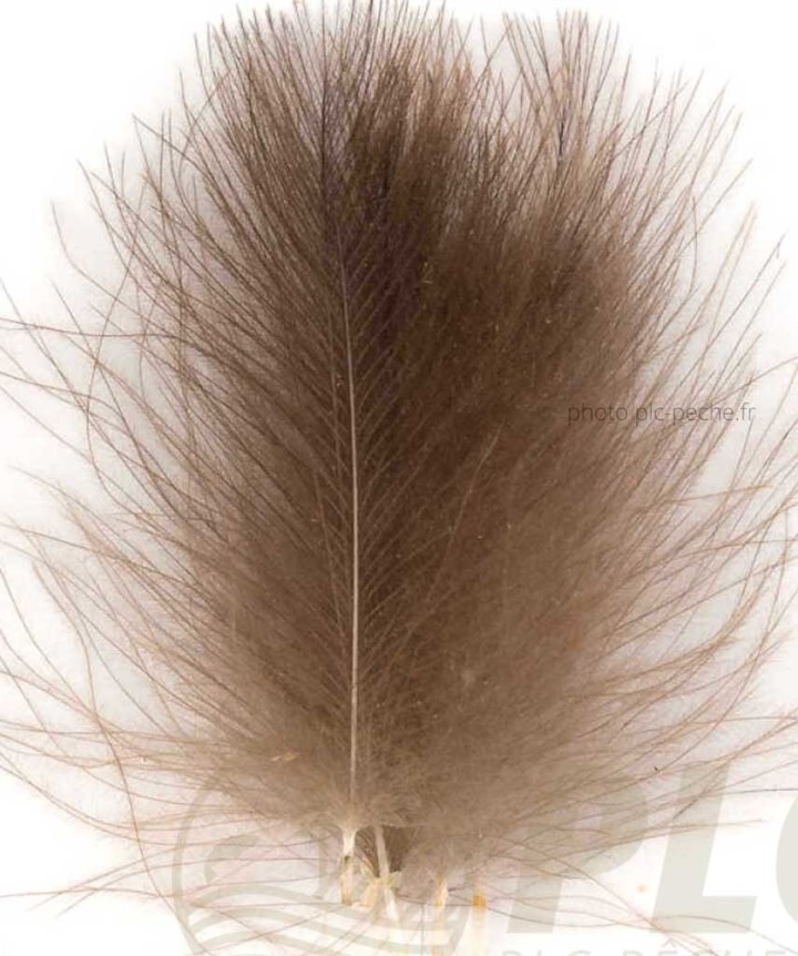 Cul de Canard FLYSCENE Wild Natural Petites Plumes | PLC-PECHE.FR