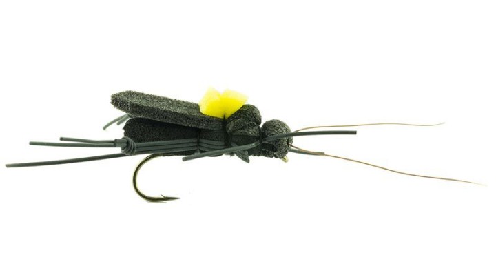 MOUCHE DEVAUX TERRESTRE CRICKET 01
