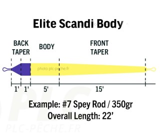 RIO Elite Scandi body | PLC FLY SHOP