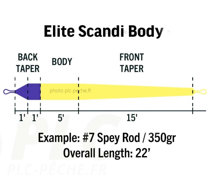 RIO Elite Scandi body | PLC FLY SHOP
