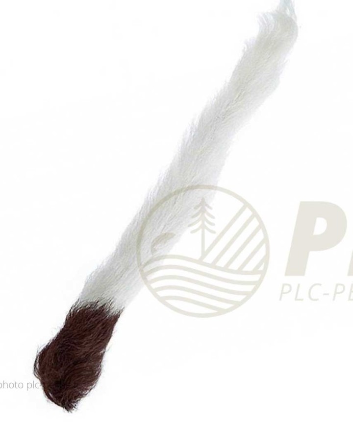 Queue VENIARD Calf Tail| PLC-PECHE.FR