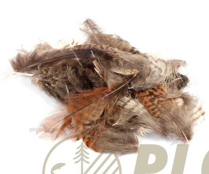 Plumes VENIARD Woodcock Body | PLC-PECHE.FR