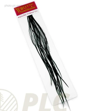 Plumes WHITING FARMS 100'S pour hameçons de 18 | PLC-PECHE.FR