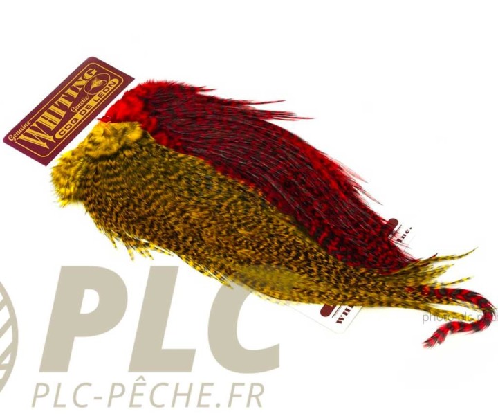 Plumes WHITING FARMS CDL Predator Pack Grizzly Pardo Red & Yellow | PLC-PECHE.FR