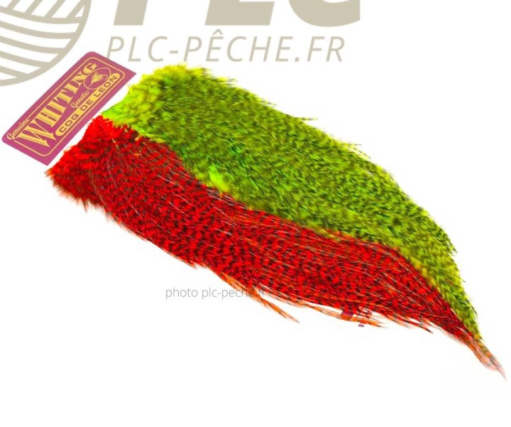 Plumes WHITING FARMS CDL Predator Pack Grizzly Pardo Chart & Orange | PLC-PECHE.FR