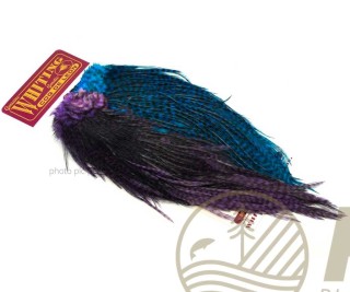 Plumes WHITING FARMS CDL Predator Pack Grizzly Pardo Purple & Blue | PLC-PECHE.FR