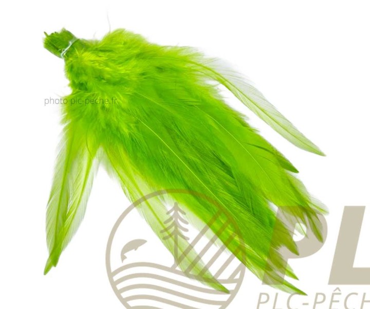 Hackle Stream MDC | PLC-PECHE.FR