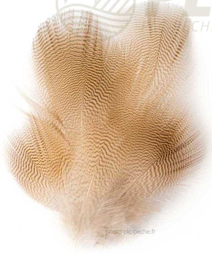 Plumes FLY SCENE Woodduck Flank 12 Plumes | PLC-PECHE.FR