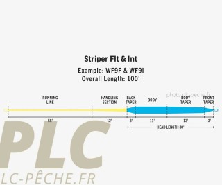 Soie RIO Premier Striper Intermédiaire | PLC-PECHE.FR
