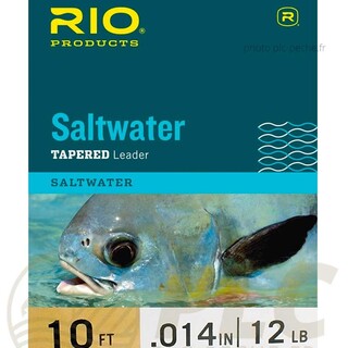 Bas de ligne RIO Saltwater 10' (3,00 m) - PLC FLY SHOP
