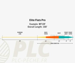 Soie RIO Elite Flats Pro Flottante Bleu / Orange / Sable |PLC-PECHE.FR