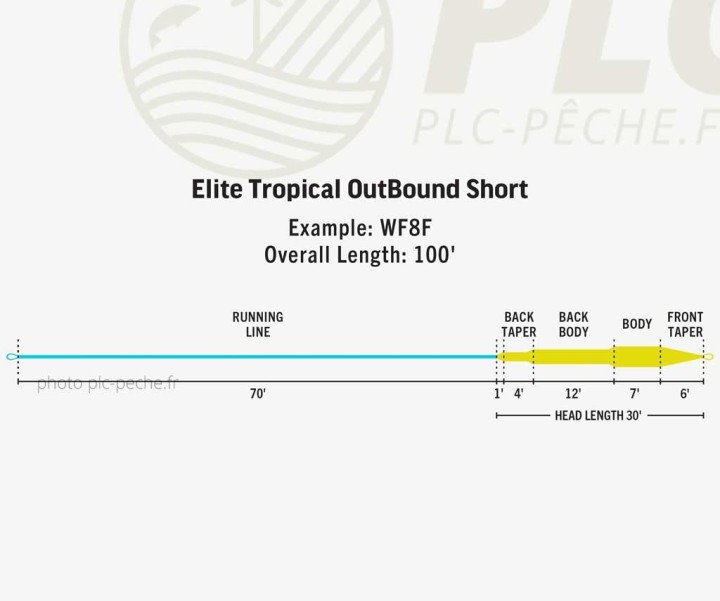 Soie RIO Elite Tropical OutBound Short Int S5 S7 | PLC-PECHE.FR