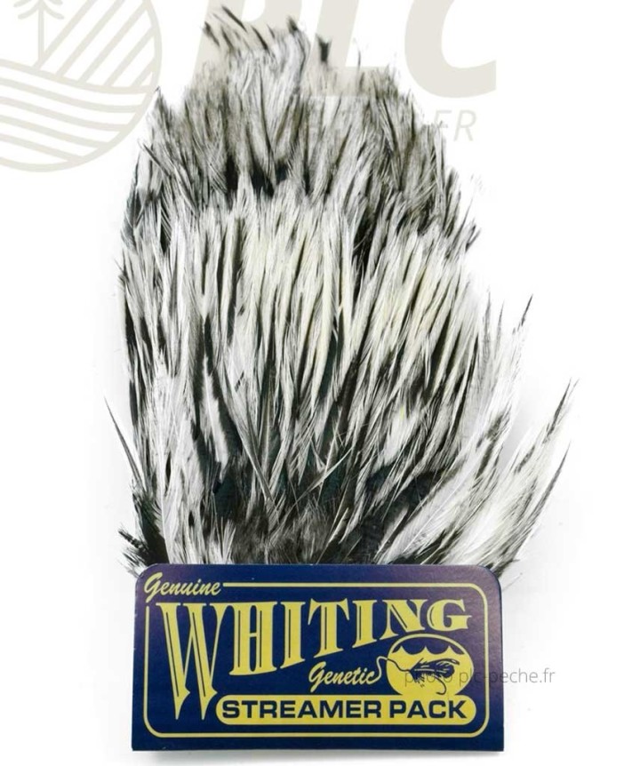 Plumes WHITING FARMS American Streamer Pack | PLC-PECHE.FR