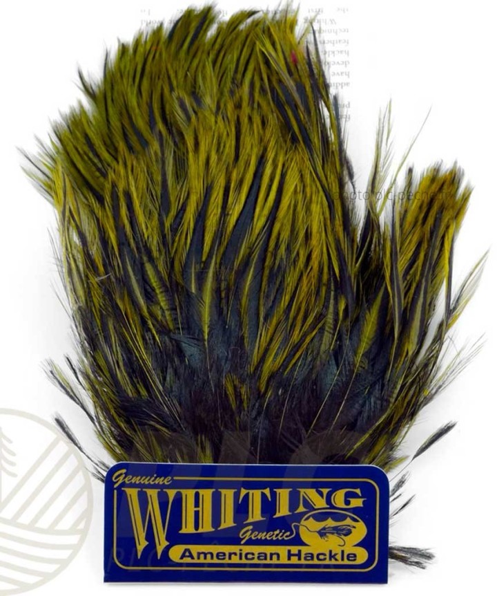 Plumes WHITING FARMS American Streamer Pack | PLC-PECHE.FR