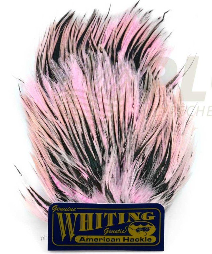 Plumes WHITING FARMS American Streamer Pack | PLC-PECHE.FR
