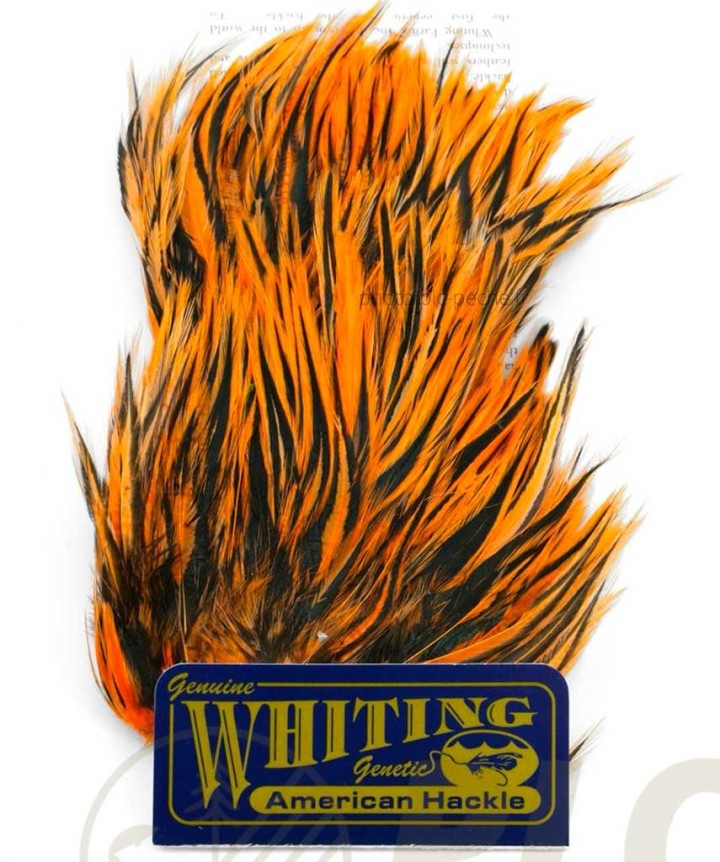 Plumes WHITING FARMS American Streamer Pack | PLC-PECHE.FR
