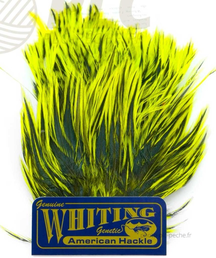 Plumes WHITING FARMS American Streamer Pack | PLC-PECHE.FR
