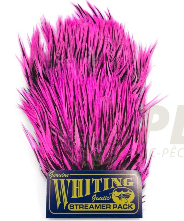 Plumes WHITING FARMS American Streamer Pack | PLC-PECHE.FR