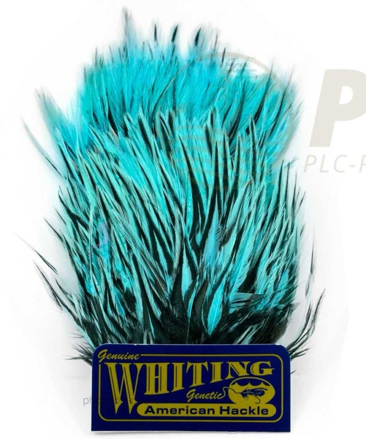 Plumes WHITING FARMS American Streamer Pack | PLC-PECHE.FR