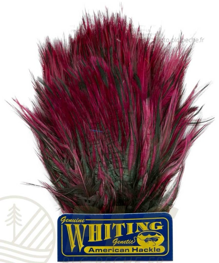 Plumes WHITING FARMS American Streamer Pack | PLC-PECHE.FR