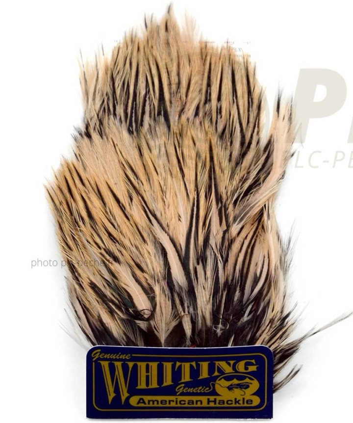 Plumes WHITING FARMS American Streamer Pack | PLC-PECHE.FR