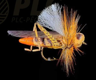 Mouche Sauterelle JMC 29 H10  | PLC-PECHE.FR