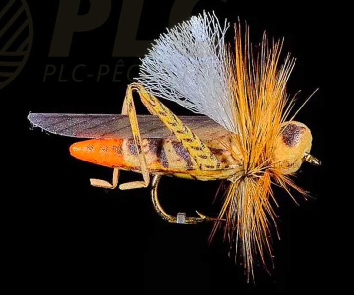 Mouche Sauterelle JMC 29 H10  | PLC-PECHE.FR