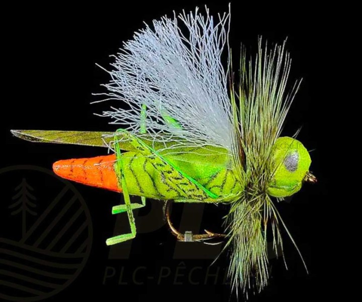 Mouche Sauterelle JMC 26 H10  | PLC-PECHE.FR